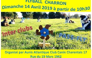 Flyball - Journée inter-Clubs & Passfly 2019