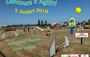 Concours agility juillet 2019