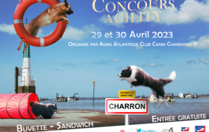 Concours Agility 2023