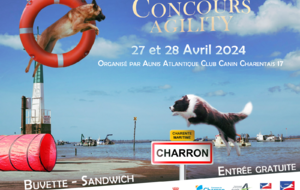 Concours Agility 2024