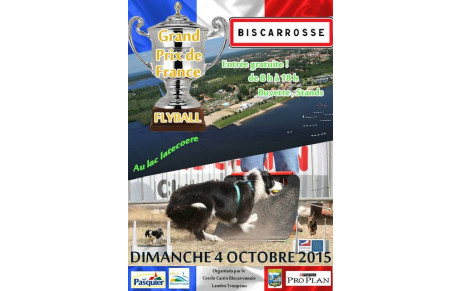 Finale 2015 à BISCAROSSE