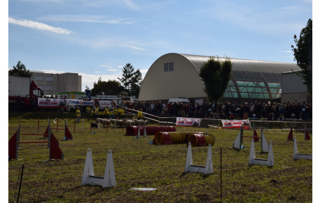 Fête de la Pomme 2015