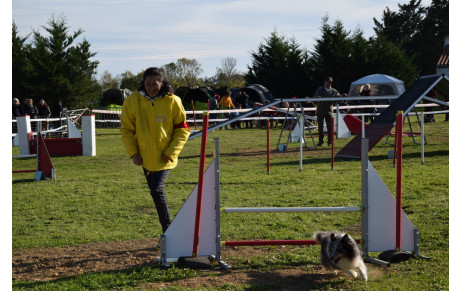 Concours d'agility 18.10.2015