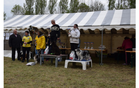 Championnat régional 2016 agility