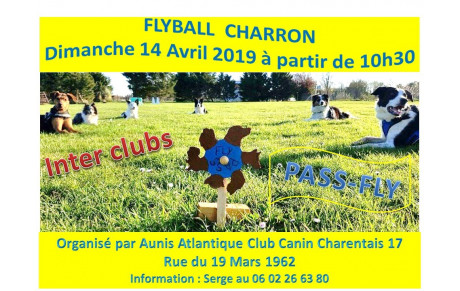 Flyball - Journée inter-Clubs &amp; Passfly 2019
