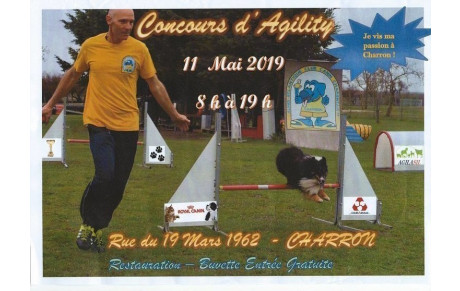 Concours agility du 11 mai 2019