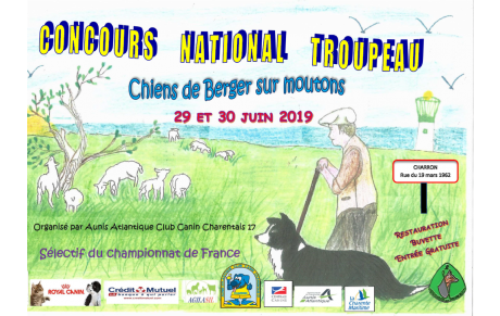 Concours des 29 et 30 juin 2019