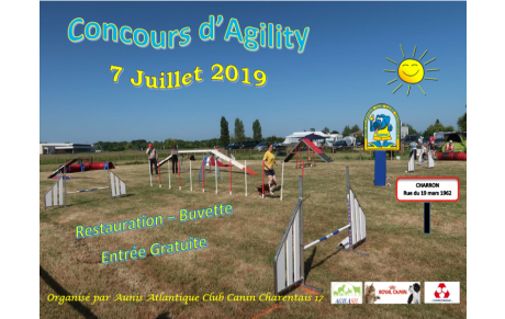 Concours agility juillet 2019