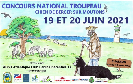 Concours inter-races de conduite de chien de berger sur troupeau ovin 2021